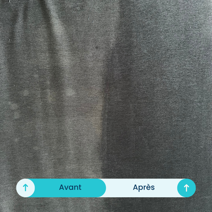 Shampouineuse - 750W