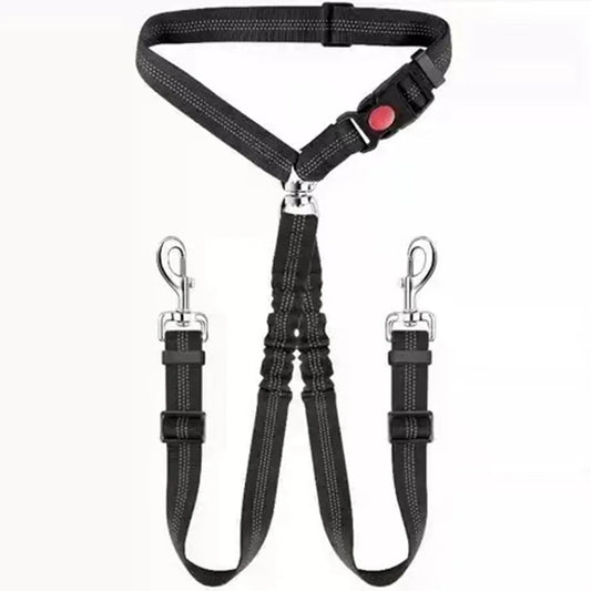 Double Ceinture pour Animaux